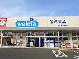 ドラックストア　金光薬品岡山山崎（ドラッグストア）まで249m