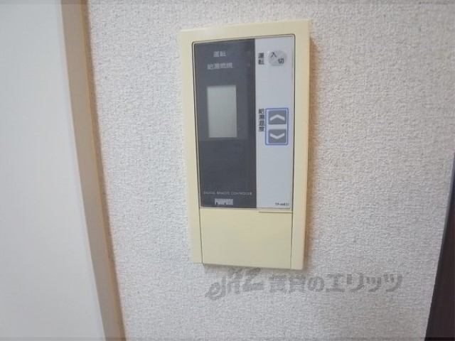 フルートファルシードのその他写真