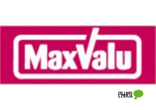スーパー　マックスバリュグランド名西店（スーパー）まで313m