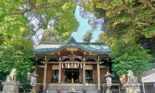 その他　中目黒八幡神社（その他）まで503m