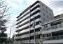 木場駅より徒歩6分 8階 築11年8ヶ月の賃貸物件