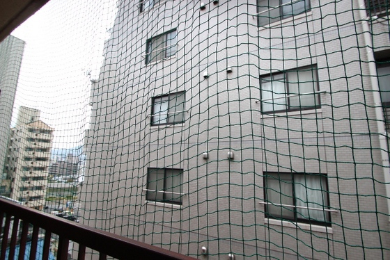 眺望　※別号室の写真です。