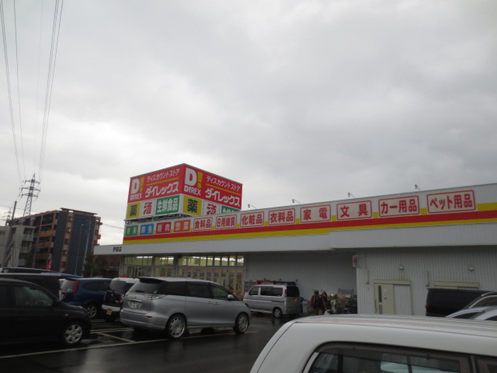 その他　ダイレックス（その他）まで600m