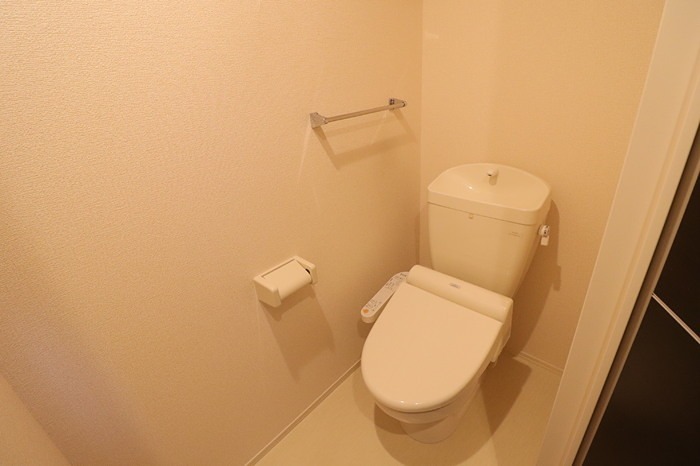 セジュール笹谷IIのトイレ写真