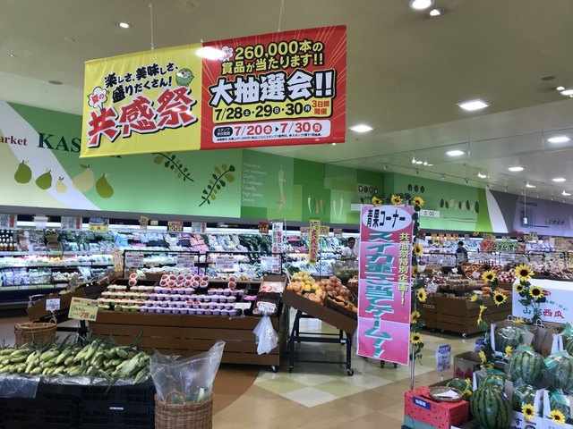 スーパー　KASUMI(カスミ) プルシェつくばキュート店（スーパー）まで1250m