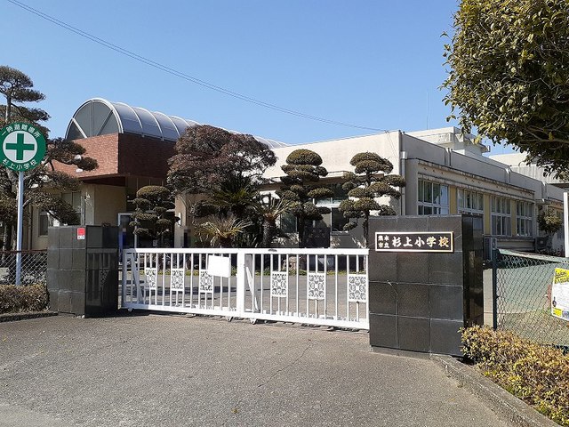 小学校　杉上小学校（小学校）まで1000m