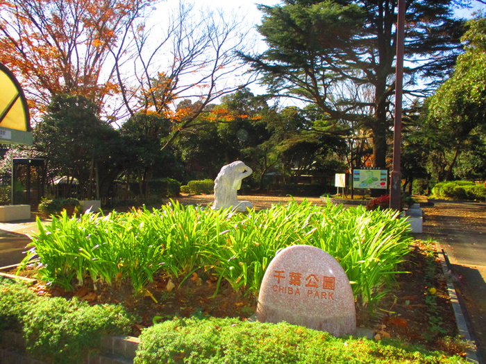 公園　千葉公園（公園）まで550m