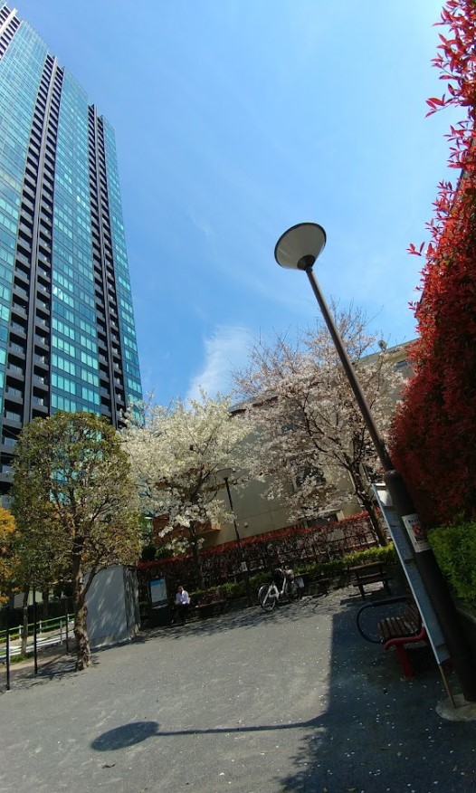 公園　三田小山町児童遊園（公園）まで376m