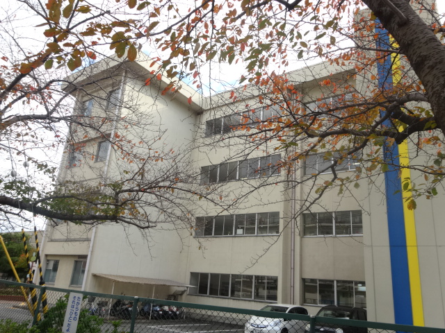 小学校　宝塚市立末成小学校（小学校）まで591m