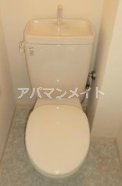 トイレ　トイレです！