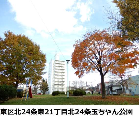 公園　玉ちゃん公園（公園）まで545m