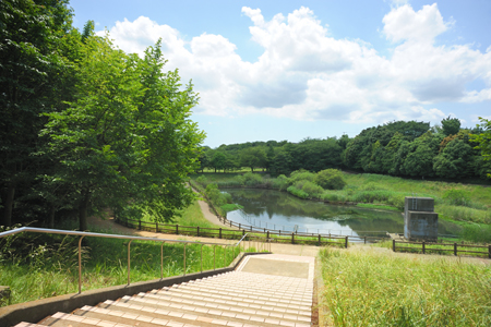 公園　美しが丘近隣公園（公園）まで532m