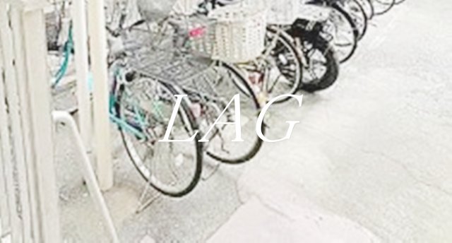 その他共有部分　駐輪場です。