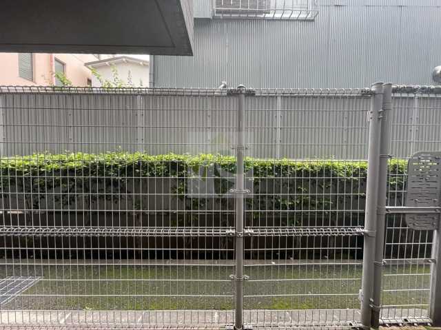 眺望　ルーブル本駒込