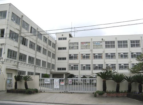 中学校　高槻市立城南中学校（中学校）まで302m