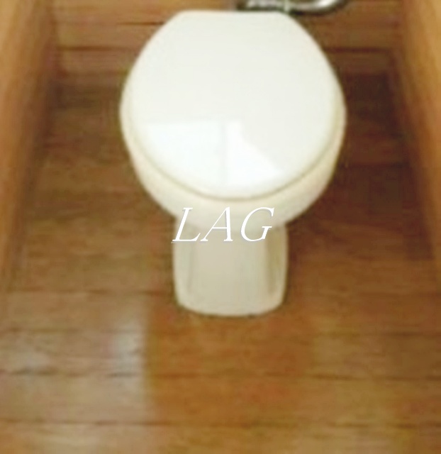 トイレ　トイレです。