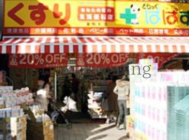 ドラックストア　どらっぐぱぱす東駒形店（ドラッグストア）まで210m