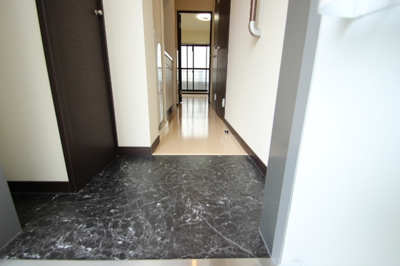 玄関　※別部屋の写真です