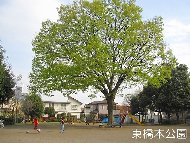 公園　東橋本公園（公園）まで251m
