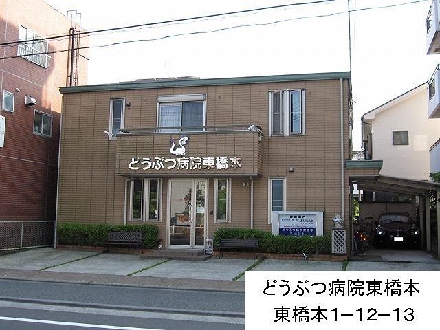 その他　どうぶつ病院東橋本（その他）まで267m