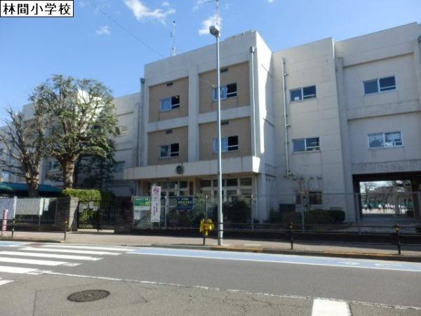 小学校　林間小学校（小学校）まで552m