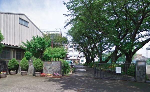 中学校　鶴間中学校（中学校）まで597m
