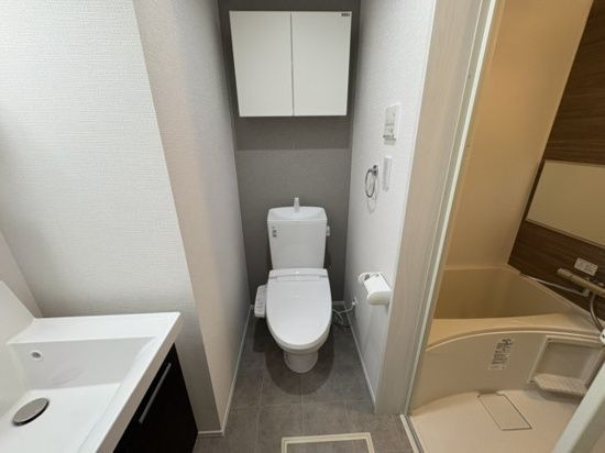 トイレ　トイレも気になるポイント