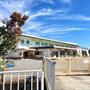 幼稚園・保育園　蓼原保育園（幼稚園・保育園）まで385m