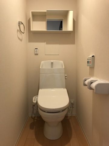 ＪＲ豊肥本線 原水駅 徒歩27分 2階建 築8年のトイレ写真