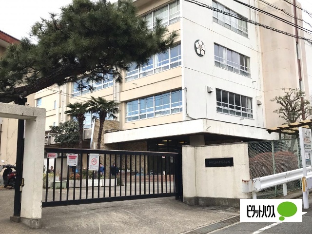 小学校　川崎市立西有馬小学校（小学校）まで338m