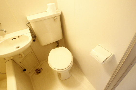 トイレ　※別号室の写真です