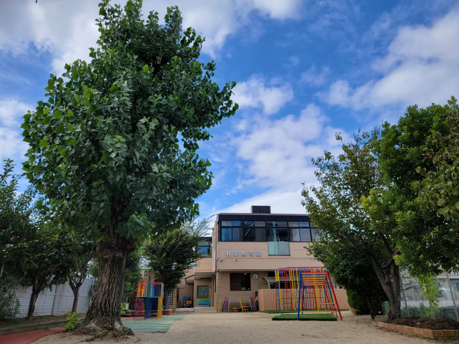 幼稚園・保育園　祥豊保育園（幼稚園・保育園）まで210m