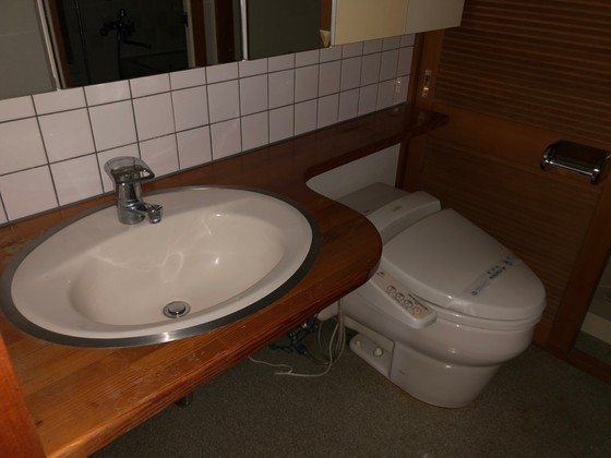 洗面設備　＊別号室の写真です