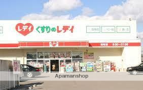 ドラックストア　レディ（ドラッグストア）まで1293m