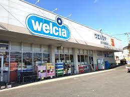 スーパー　ウエルシアさいたま原山店、（スーパー）まで663m