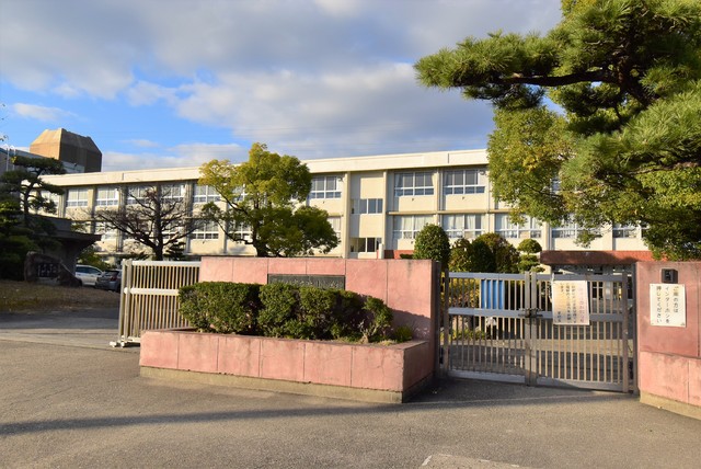 小学校　渋川小学校：学区はご確認下さい（小学校）まで250m