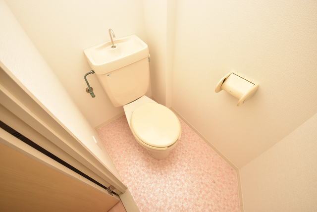 トイレ　トイレ