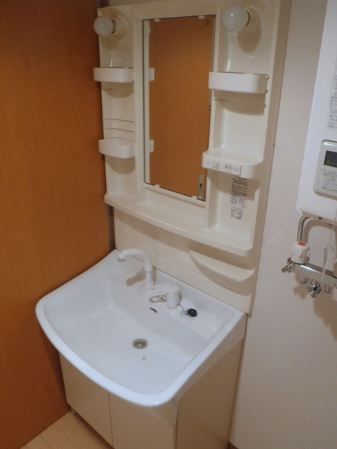 洗面設備　シャワードレッサー付きです。
