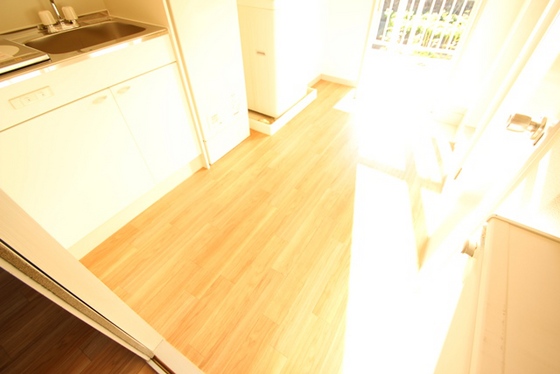 玄関　※別号室のお写真です