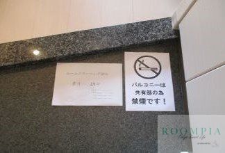 玄関　※同タイプの別のお部屋です。