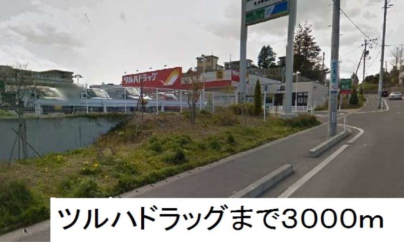 ドラックストア　ツルハドラッグ塩釜栄町店（ドラッグストア）まで3000m