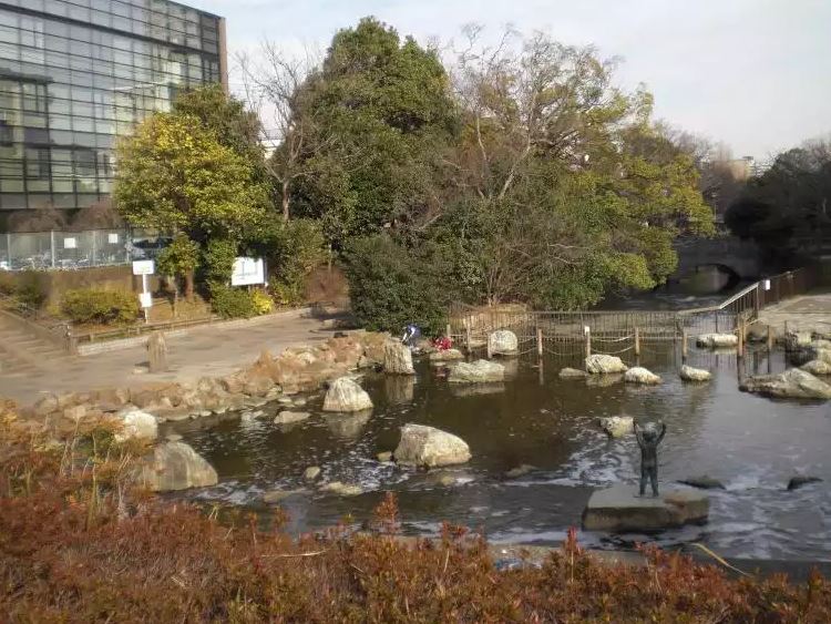 公園　仙台堀川公園（公園）まで527m