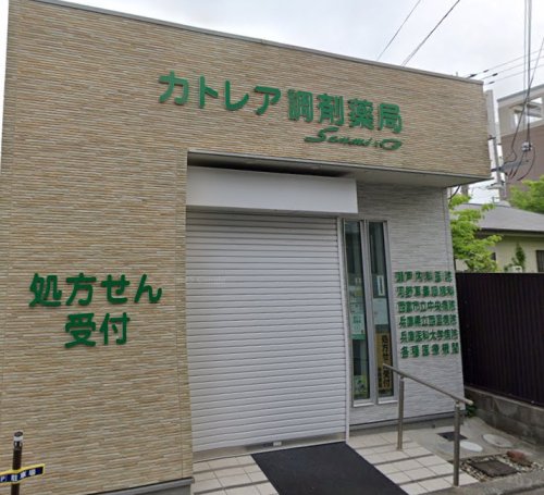 ドラックストア　カトレア調剤薬局（ドラッグストア）まで618m