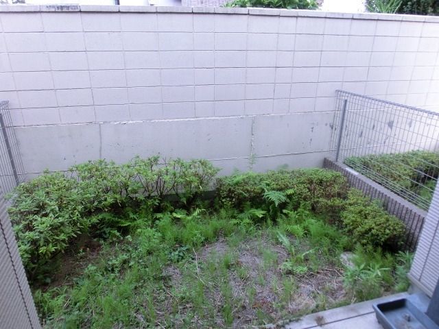 庭