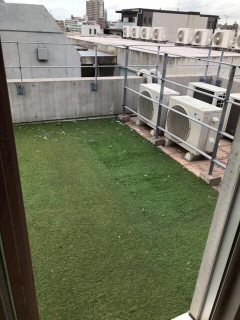 庭