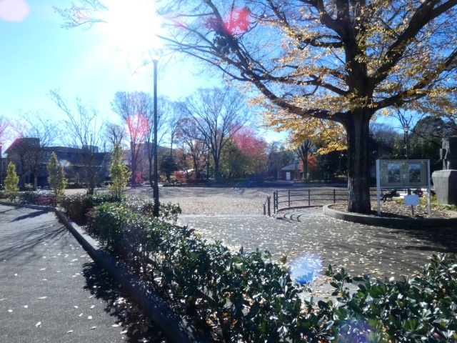 公園　諏訪の森公園（公園）まで876m