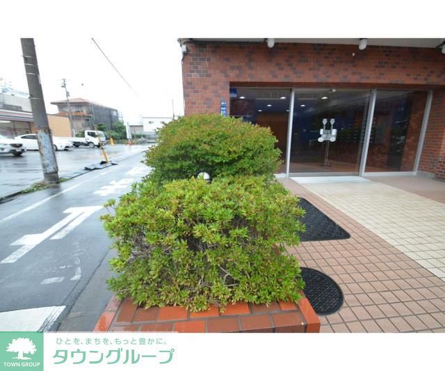 庭