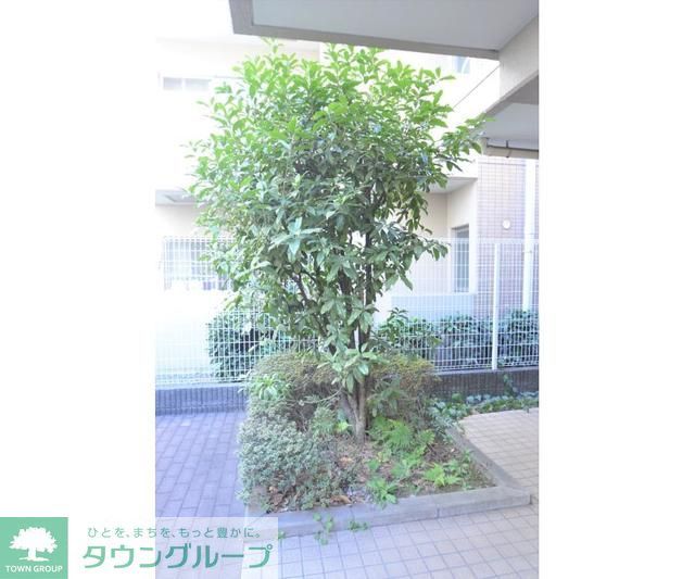 庭