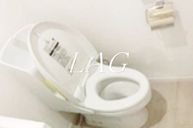トイレ　トイレです。