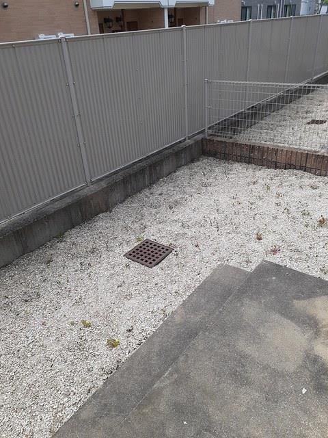 庭